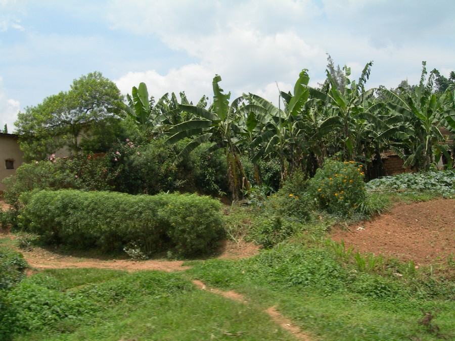 kigali Butare1