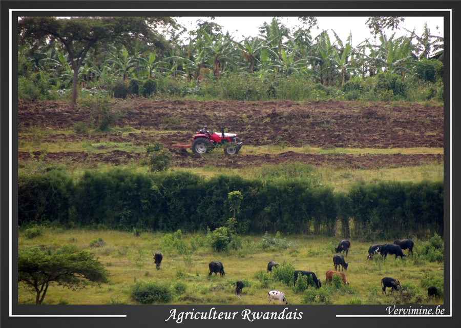 tracteur rwandais