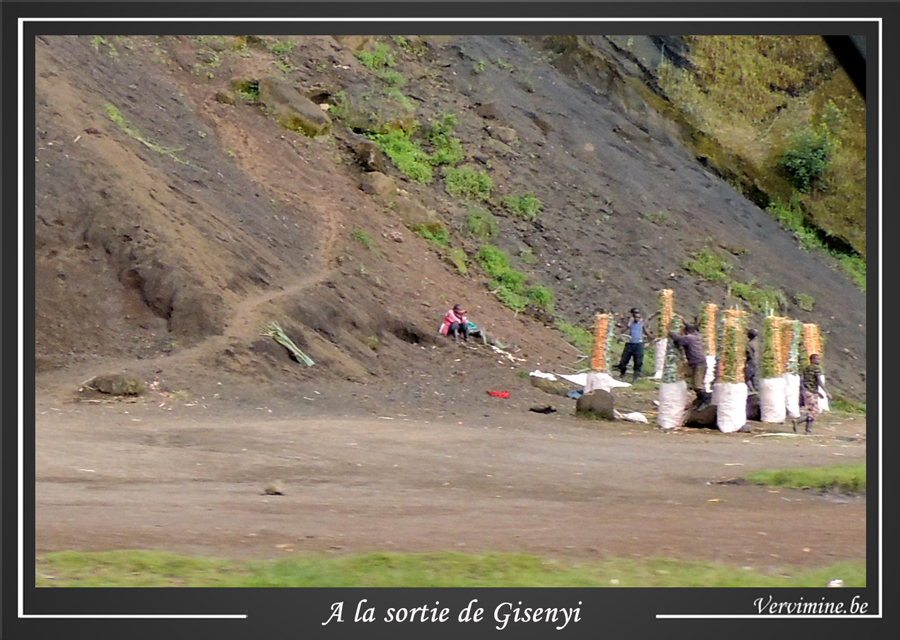 vendeurs de carottes